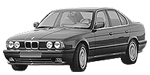 BMW E34 P176F Fault Code