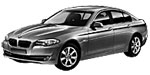 BMW F10 P176F Fault Code